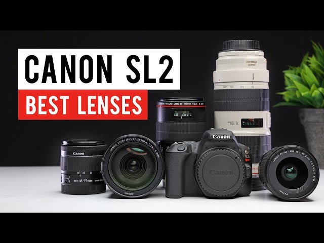 Canon SL2 (200d) Best Lenses