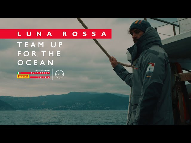 TEAM UP FOR THE OCEAN | Let's get involved