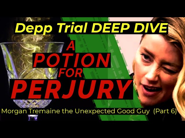 Will Amber Heard Be Charged with Perjury? - Part 6 - Morgan Tremaine, Unexpected Good Guy