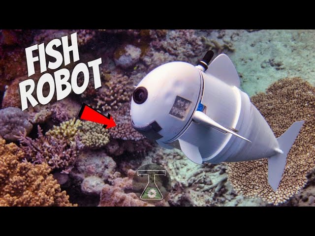 This Robotic Fish Travels Into the Deep Sea