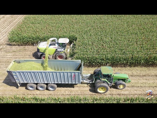 Chopping Corn Silage near Greensburg Indiana