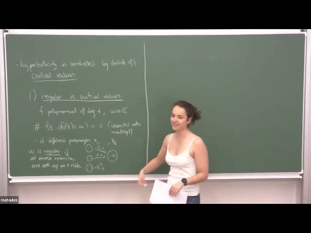 Pesin’s theory in a transcendental setting - Anna Jové