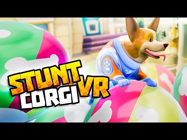 BRAVE DOGGO JUMPS INTO BALL PIT - Stunt Corgi VR Gameplay - VR HTC Vive Gameplay