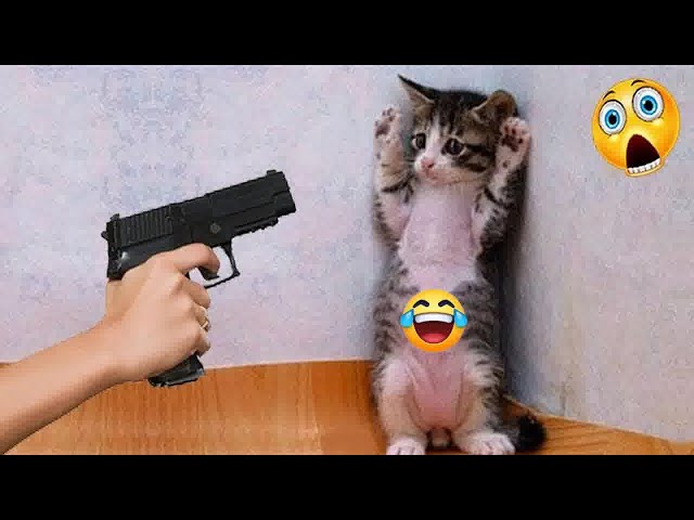 YOU LAUGH YOU LOSE😁Best Funny Animals Video 2024🤣🐶part 5