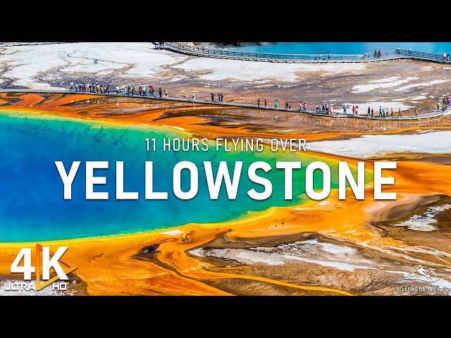 YELLOWSTONE 4K UHD - Exploring Yellowstone's Vast Landscape with Calm Music - 4K Video UHD