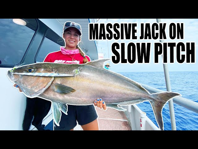 BIG ALMACO JACK caught SLOW PITCH Jigging - Fishing the Gulf of Mexico