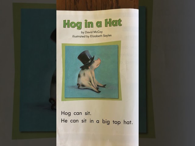 Hog in a Hat