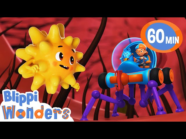 Sneeze - Blippi Wonders | Sing Along | Learn ABC 123 | Fun Cartoons | Moonbug Kids