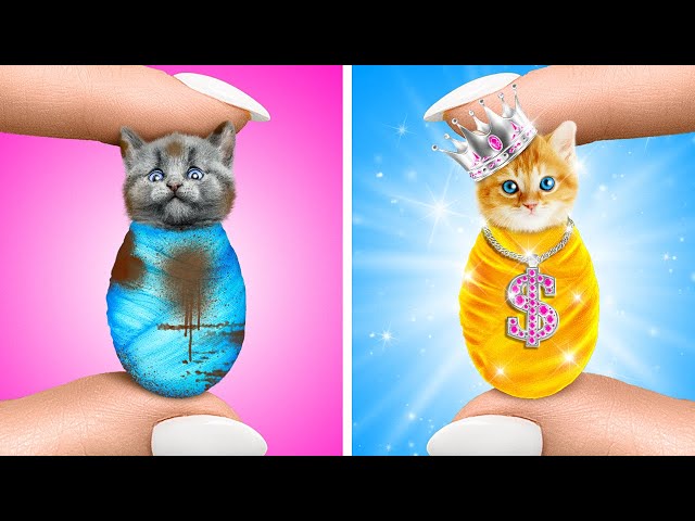 *Saved Poor Kitten!* Extreme GADGETS for Your PET! Must-Have Tricks for Dogs and Cats by Double Jam