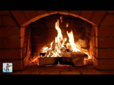 🔥 Fireplace Videos