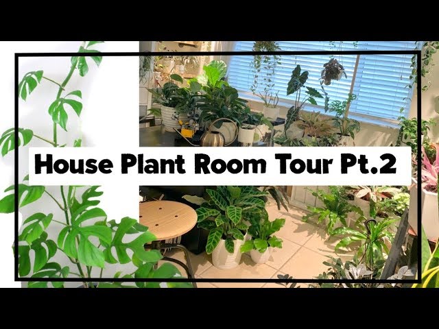 House Plant Room Tour Pt.2 🌿 || A girl with a garden