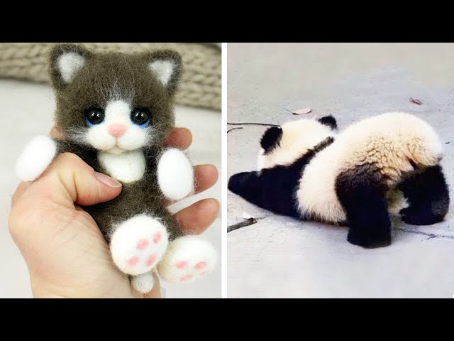 Cute baby animals Videos Compilation cute moment of the animals - Cutest Animals #42