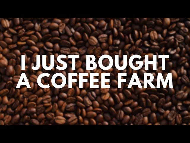 I Just Bought A Coffee Farm in Panama. Here's why...