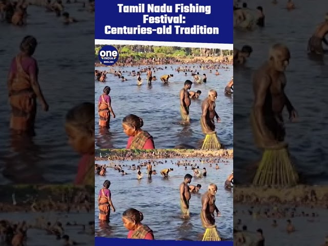 Fishing Festival in Tamil Nadu: Kuttupatti Village Celebrations Ahead of Summer 2024 | #shorts
