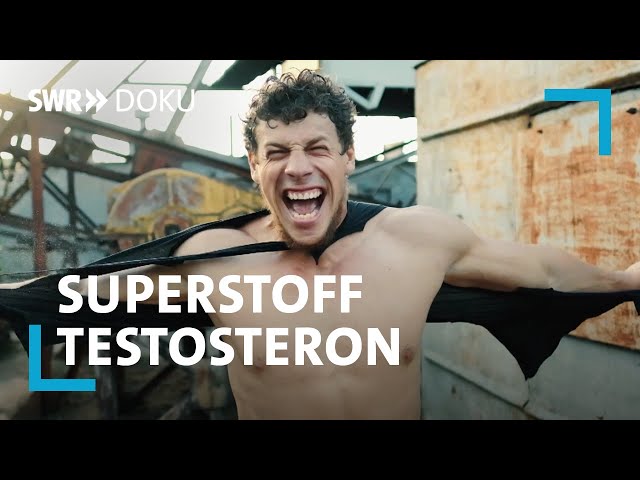 Mehr Kraft, mehr Lust, mehr Glück? Superstoff Testosteron | SWR Doku