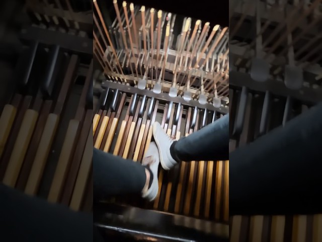 Playing the Organ at St. Patricks Old Cathedral in Manhattan #music #organ #church