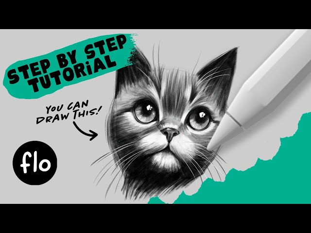 STEP by STEP Cat Drawing in Procreate - You Can Draw This!