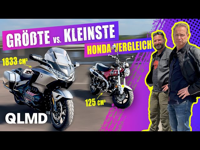 Gold Wing vs. DAX | Größte vs. kleinste Honda | Was bockt mehr? | Matthias Malmedie