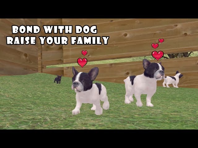 Ultimate Dog Simulator (by Gluten Free Games) - Part 5 - Android Gameplay [HD]