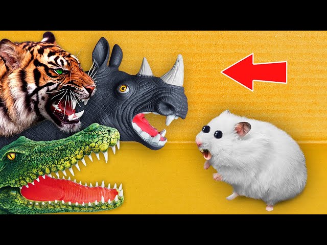 🐅TIGER, 🐊CROCODILE & 🦏RHINO - Hamster Maze with Traps ☠️ [OBSTACLE COURSE]