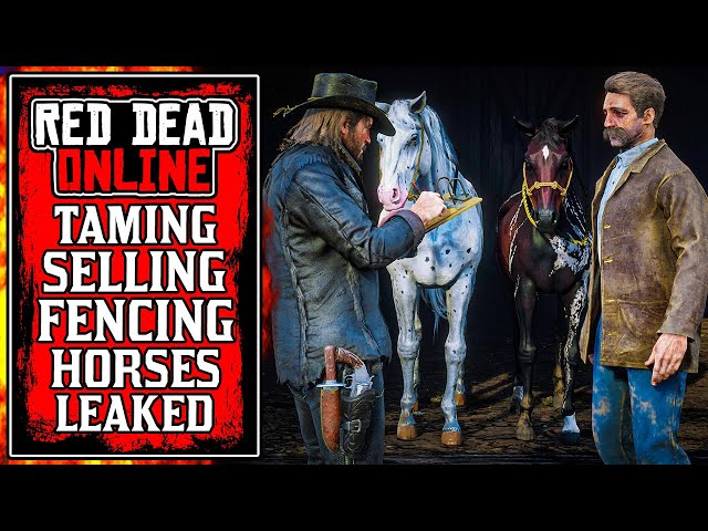 Taming, Selling & Fencing Horses in Red Dead Online.. NEW Red Dead Online Update LEAKS (RDR2)