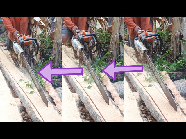 Chainsaw STIHL Machinery Equipment VS Coconut Tree