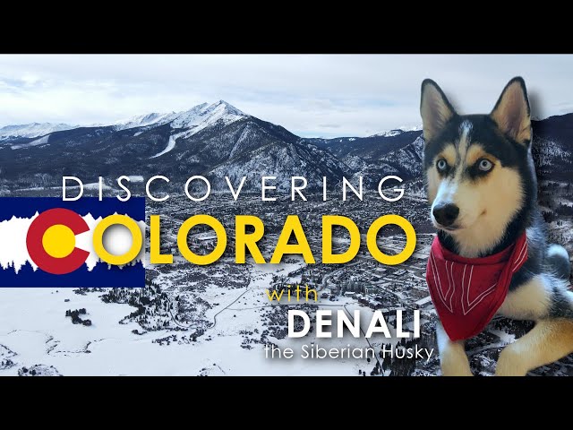 Discovering Colorado with Denali the Siberian Husky | Colorado, USA Travel