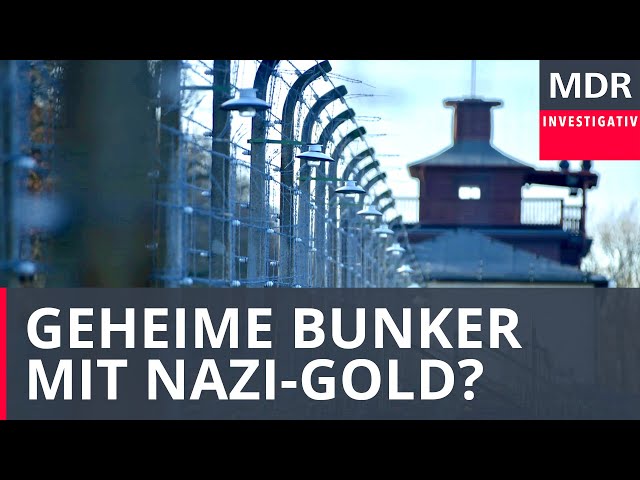 Geheime Bunker mit Nazi-Gold? | Doku