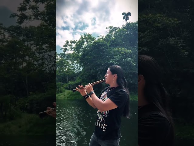 Beyond the Trail of Tears | Quena | Flute | Relax Music| by Raimy Salazar (Vertical Video)