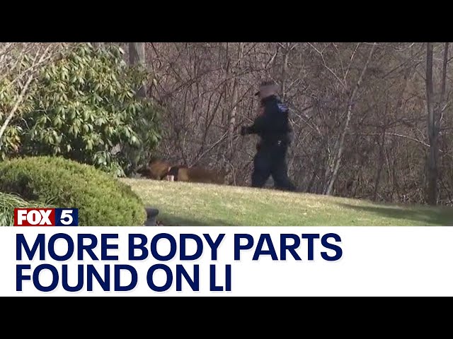 More dismembered body parts discovered on LI