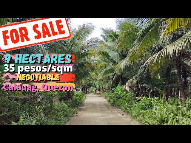 #21 Property for Sale Calauag, Quezon Pro. 35pesos per SQM