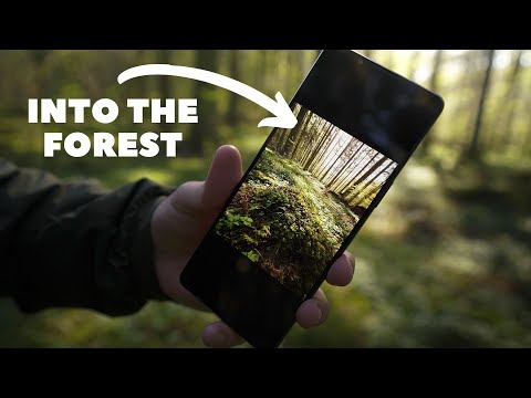 Xperia 1 IV In the field - Nature Photography // 4K 120fps Test