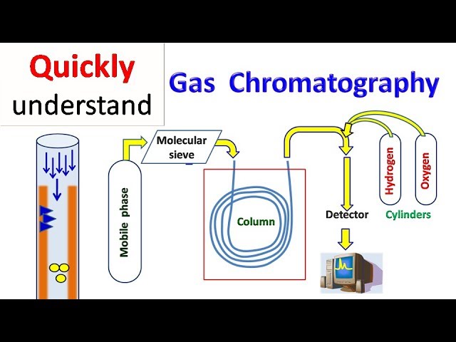 Gas chromatography | GC