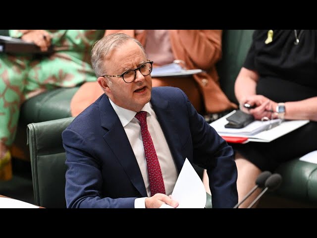 Labor’s 2024 budget an ‘expression’ of ‘priorities’ ahead of next election