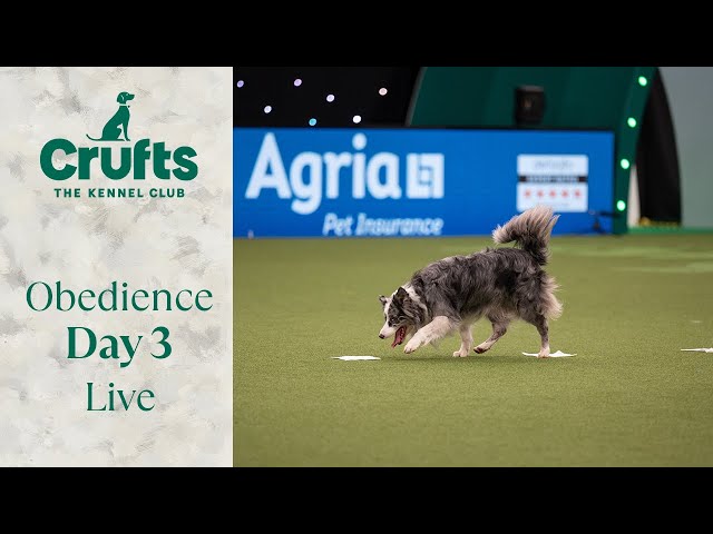 Obedience Day 3 LIVE | Dog Obedience Championship | Crufts 2024