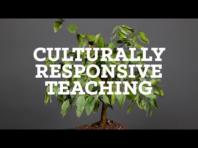 Explainer: What is Culturally Responsive Teaching?