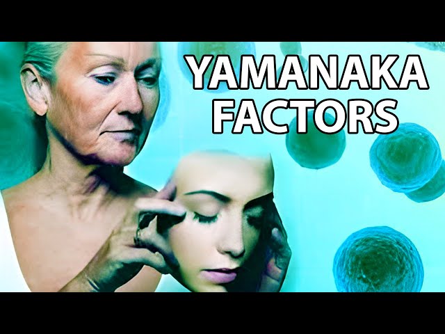 GENE THERAPY Reverses Skin Aging by 30 Years (Yamanaka Factors)