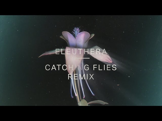 Tor - Eleuthera (Catching Flies Remix) [Official Audio]