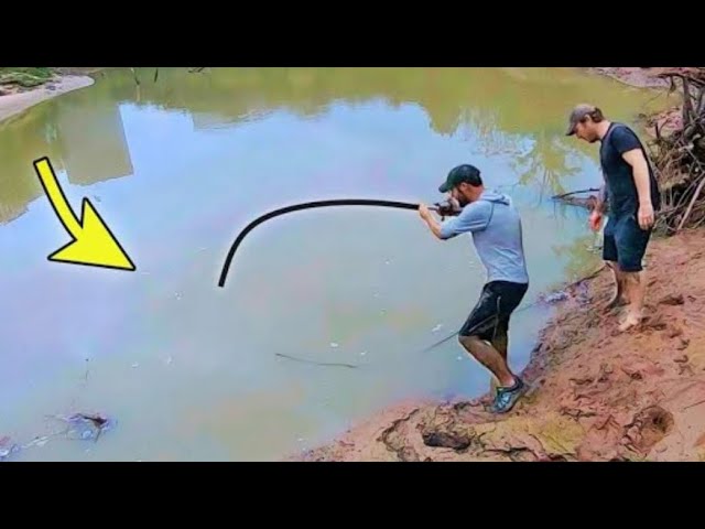 We THOUGHT it was a FISH!!
