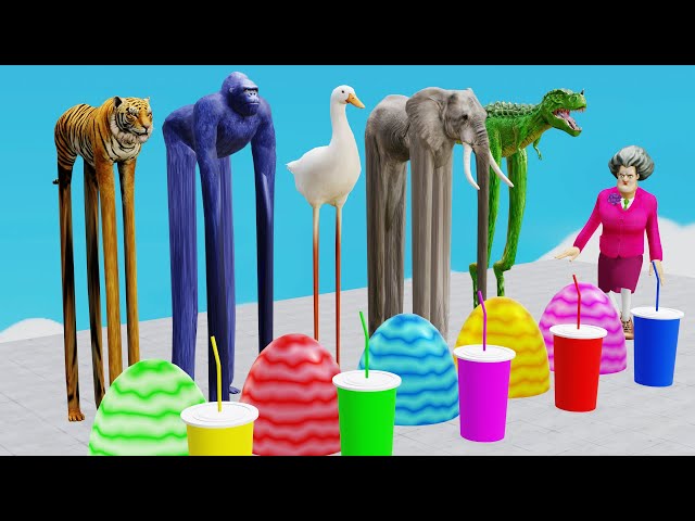 Choose the Right Drink with Elephant Duck Gorilla Tiger Dinosaurs Hippo Max Level LONG LEGS Squeeze
