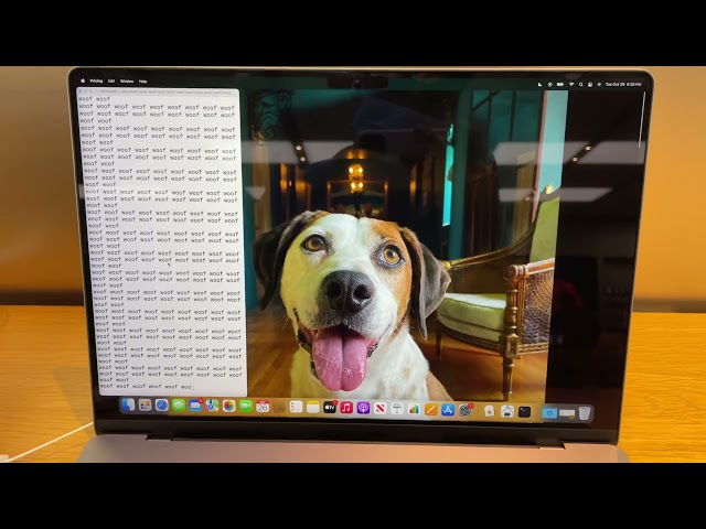 The most adorable script running on an Apple Store MacBook Pro