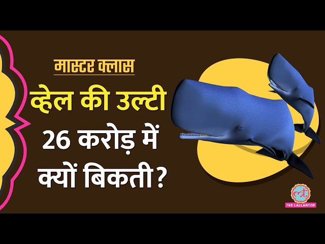 26 करोड़ की Whale Vomit क्या है जो आपको जेल पहुंचा सकती है? | Ambergris Explained | Masterclass