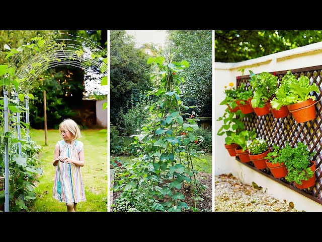 3 Awesome Ways to Grow Vertically in Your Garden 🌱