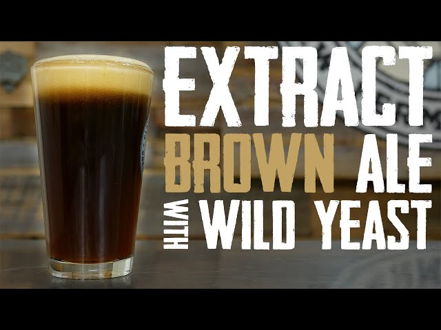 Extract Brown Ale With Wild Yeast: Homebrewing With A Log