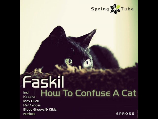 progressive house Faskil How To Confuse A Cat Raf Fender Remix  music 2022