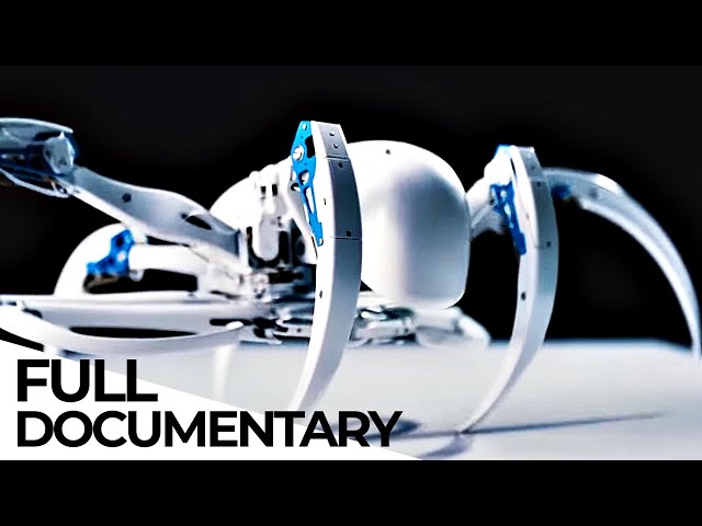 Robo Dogs, Robo Spiders: Modern Robotic Engineering based on Animals | ENDEVR Documentary|