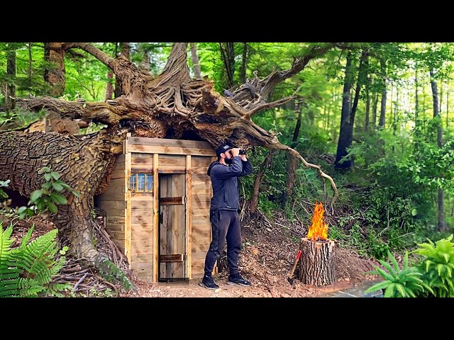Building a fairytale hut in the roots of a fallen tree