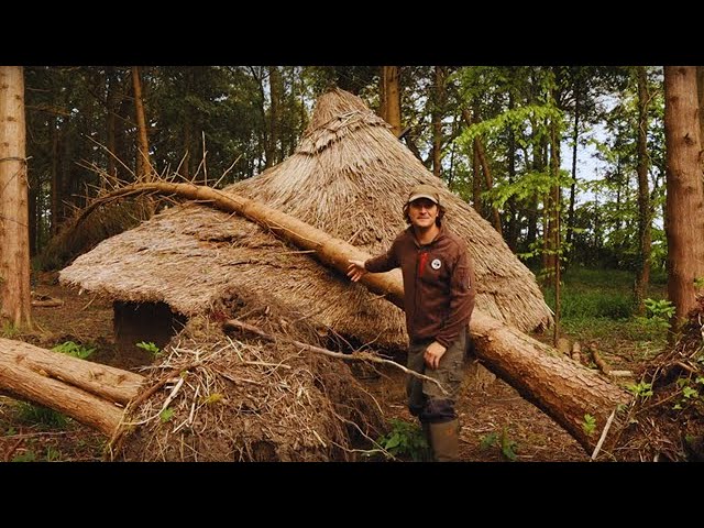 My Bushcraft Village Was Destroyed | Crushed Shelters | Fallen Trees | Need to Rebuild | TA OUTDOORS