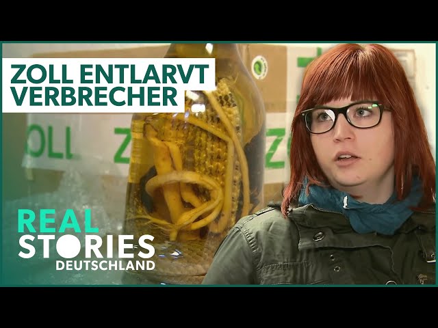 ACHTUNG Kontrolle: Der Zoll entlarvt Verbrecher! | Zoll Doku | Real Stories Deutschland