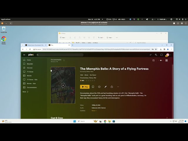 Plex: Strange permission issues with a Windows Plex install which might help Bee